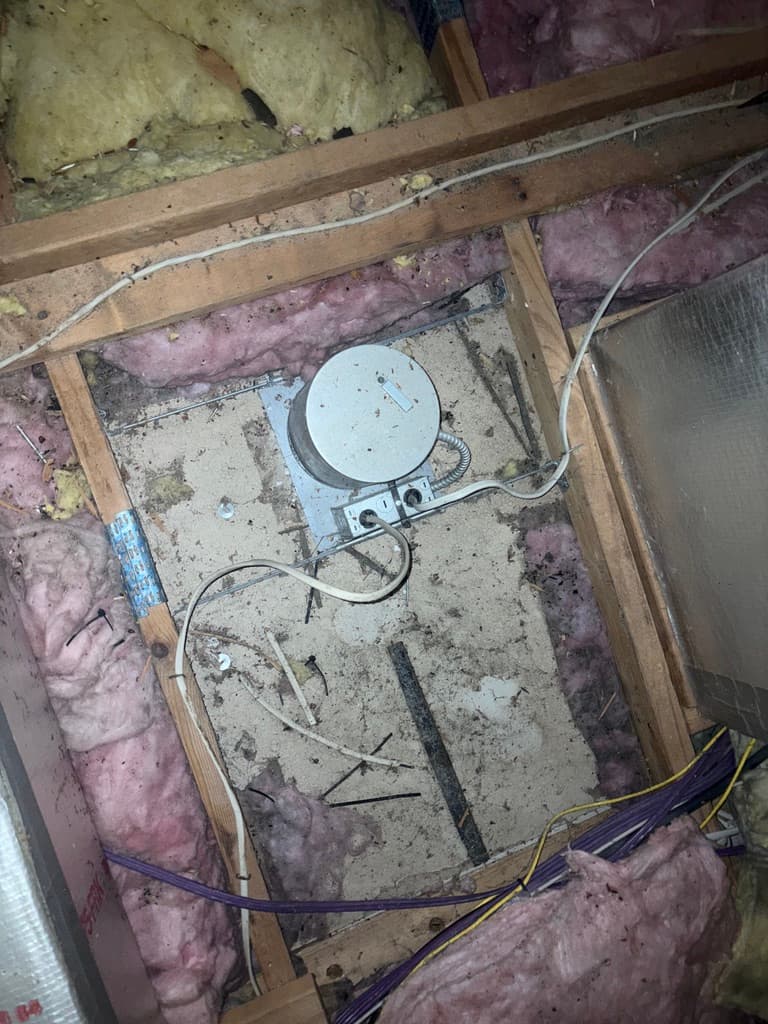 Bare attic subfloor and framing exposed after insulation removal